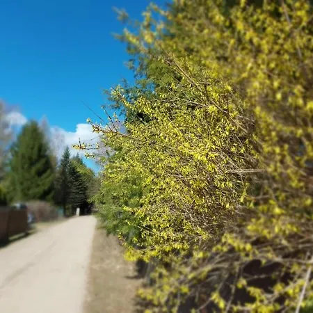 Cztery Pory Warmii Do Wynajecia Lägenhet Pluski
