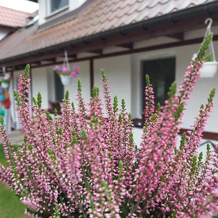 Cztery Pory Warmii Do Wynajecia *