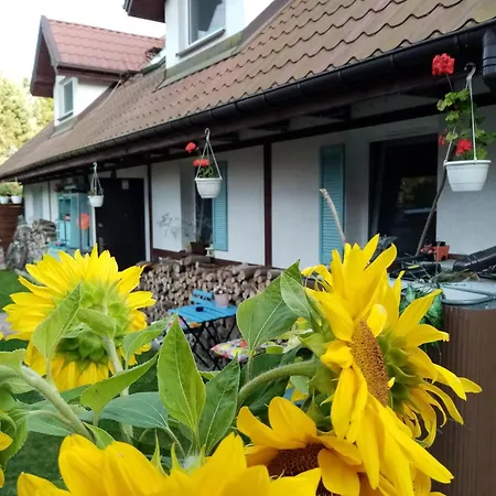 Cztery Pory Warmii Do Wynajecia Pluski