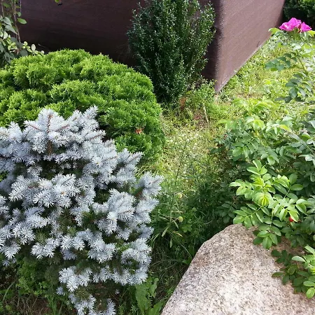 Cztery Pory Warmii Do Wynajecia