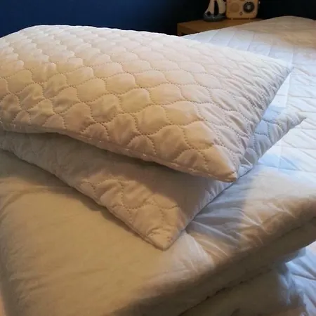 Cztery Pory Warmii Do Wynajecia Pluski