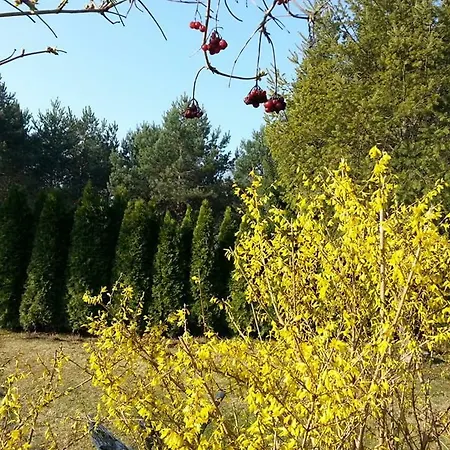 Cztery Pory Warmii Do Wynajecia * Pluski