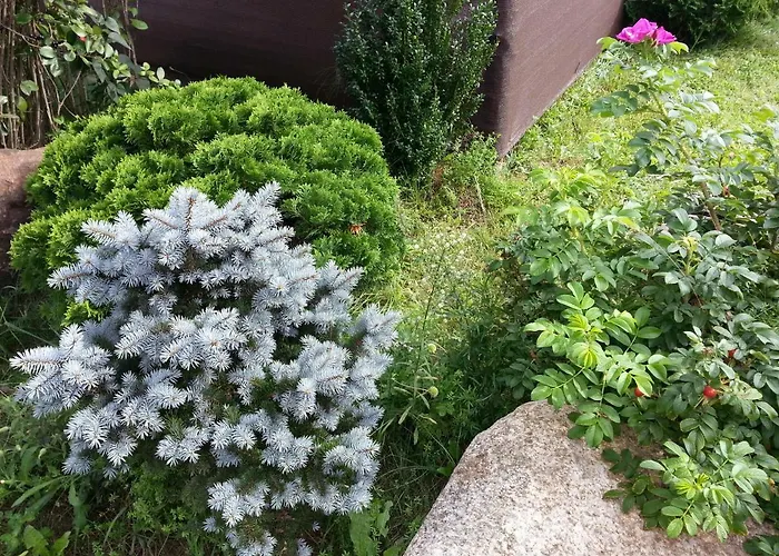 Cztery Pory Warmii Do Wynajecia