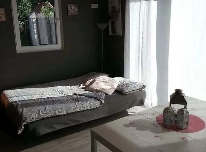 Cztery Pory Warmii Do Wynajecia Pluski